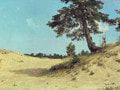 Borovica na piesku (1884)