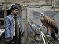 Afganský predavač vtákov ponúka