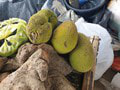 Durian - najsmradľavejšie ovocie