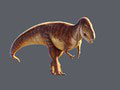 Súčasná rekonštrukcia Megalosaura