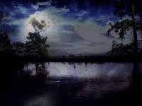 Močiar Manchac, Louisiana, USA