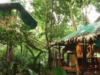 Tree House Lodge, Limón, Kostarika