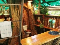 Tree House Lodge, Limón, Kostarika