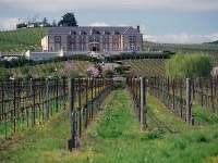 Napa Valley, Kalifornia, USA