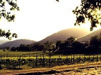 Napa Valley, Kalifornia, USA