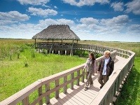 Národný park Everglades, Florida, USA