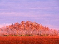 Národný park Everglades, Florida, USA
