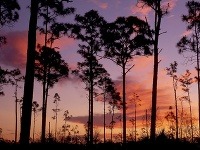 Národný park Everglades, Florida, USA