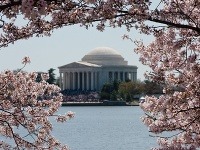 National Mall and Memorial Parks, Washington D.C., USA