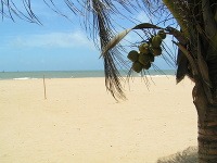 Srí Lanka