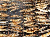 Portugalsko