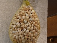 Portugalsko