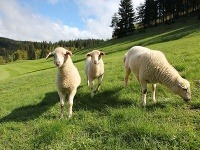 Valašsko, Česká republika