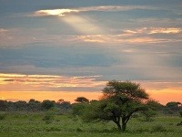 Botswana, Afrika