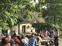 Slávnosti vínnych pivničiek v Langenlois, Rakúsko