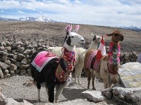 Peru