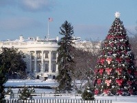 Washington D. C., USA