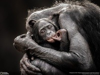 Fotosúťaž National Geographic Traveler 2013