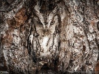 Fotosúťaž National Geographic Traveler 2013