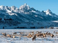Jackson Hole, Wyoming, USA Jackson Hole, Wyoming, USA