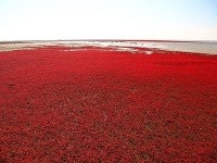 Red Beach, Čína