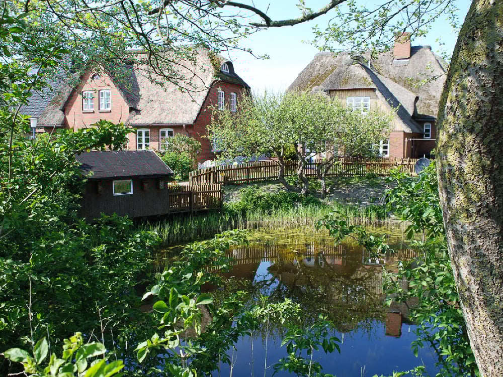Hallig Hooge