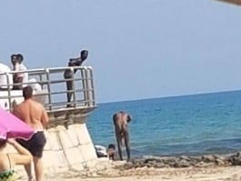 Ľudí na pláži šokovali nahí utečenci