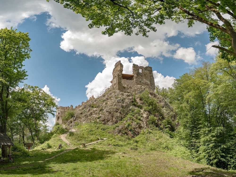 Hrad Šášov