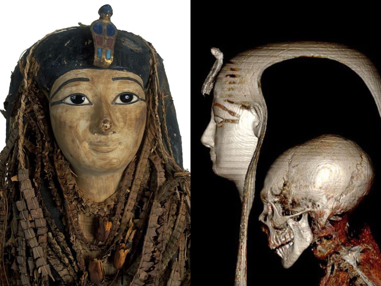 Egyptskí odborníci 