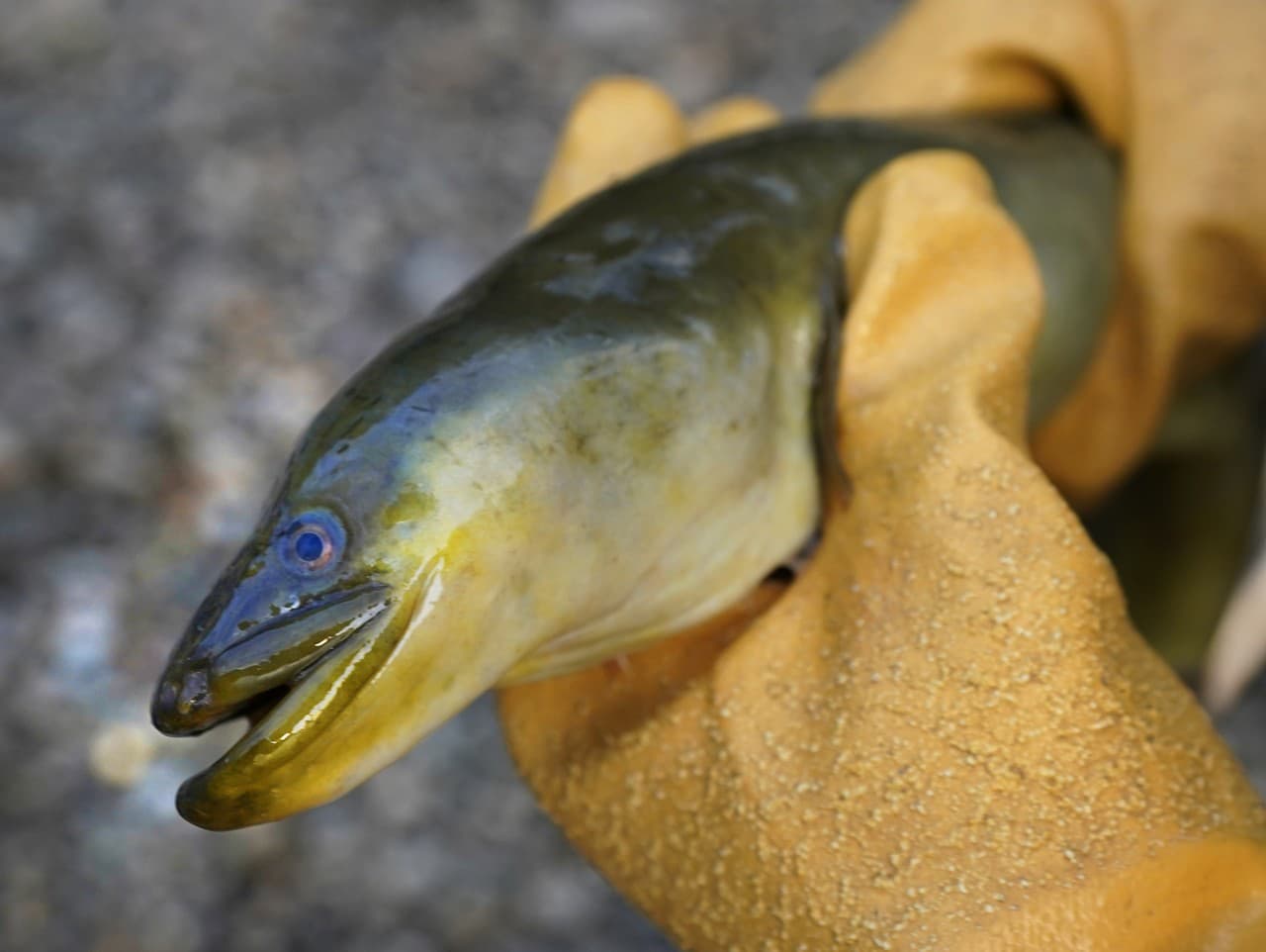 Ilustračný obrázok