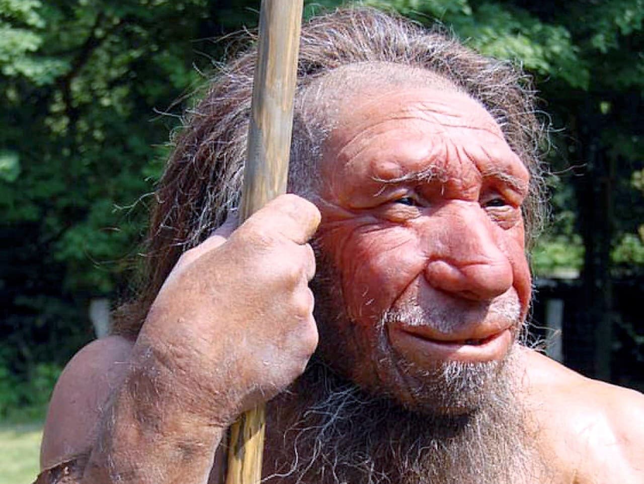 Podoba človeka neandertálskeho