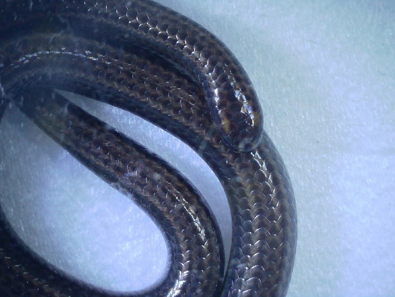 Ilustračný obrázok