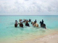 Half Moon Cay, Bahamy