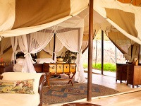 Cottar`s Safari Camp, Keňa