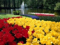 Keukenhof, Holandsko