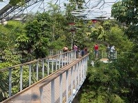 Projekt Eden, Veľká Británia