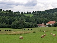 Husinec, Česká republika