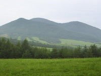 Busov