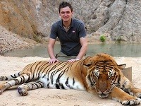 Tiger indočínsky