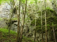 Brankovský vodopád