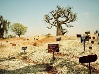 Ostrov z mušlí, ostrov Fadiouth, Senegal