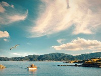 Sarti