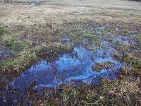 Rojkovské rašelinisko, Slovensko