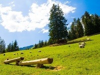 Čutkovská dolina, Slovensko