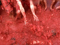 La tomatina, Španielsko