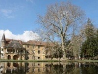 Zámok, Stupava
