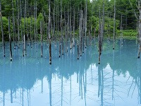 Modré jazierko, Japonsko