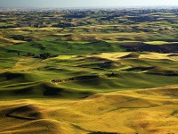 Palouse, USA
