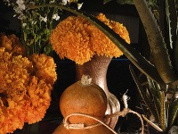 Tradičný oltár, Día de los muertos, Mexiko
