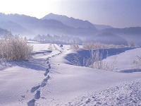 Zimná krajina
